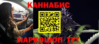 сатива Апшеронск