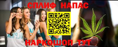 сатива Апшеронск