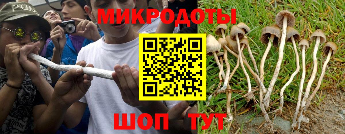 Будённовск  Галлюциногенные грибы GOLDEN TEACHER  Галлюциногенные грибы мицелий  Вход с VPN 